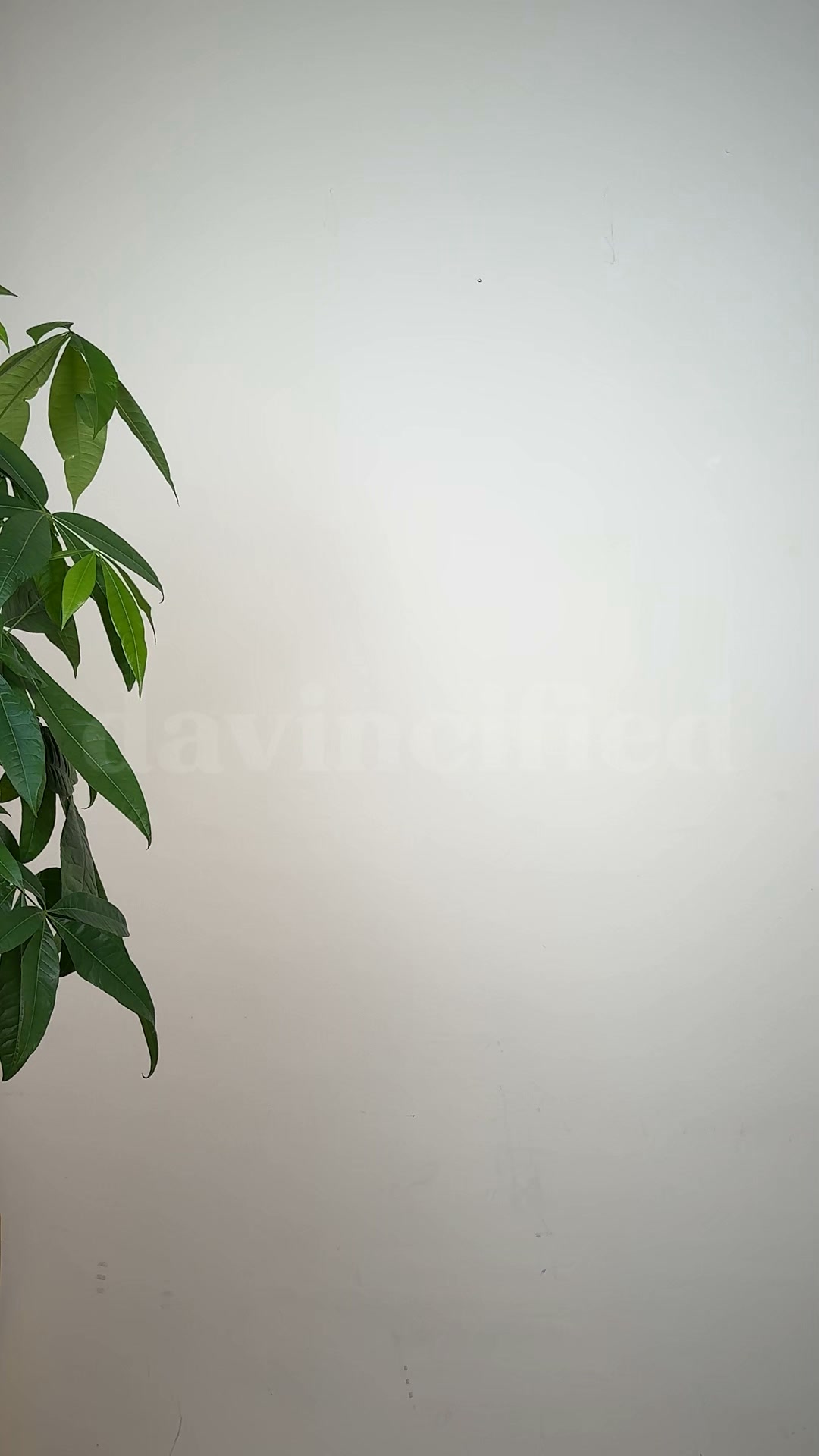 Ce Mur Vide Merite Mieux.