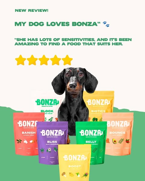 Supplement treats chews dogs
