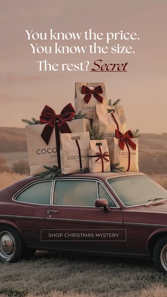 Consider this your Secret Santa gift