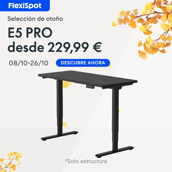Descubre la colección