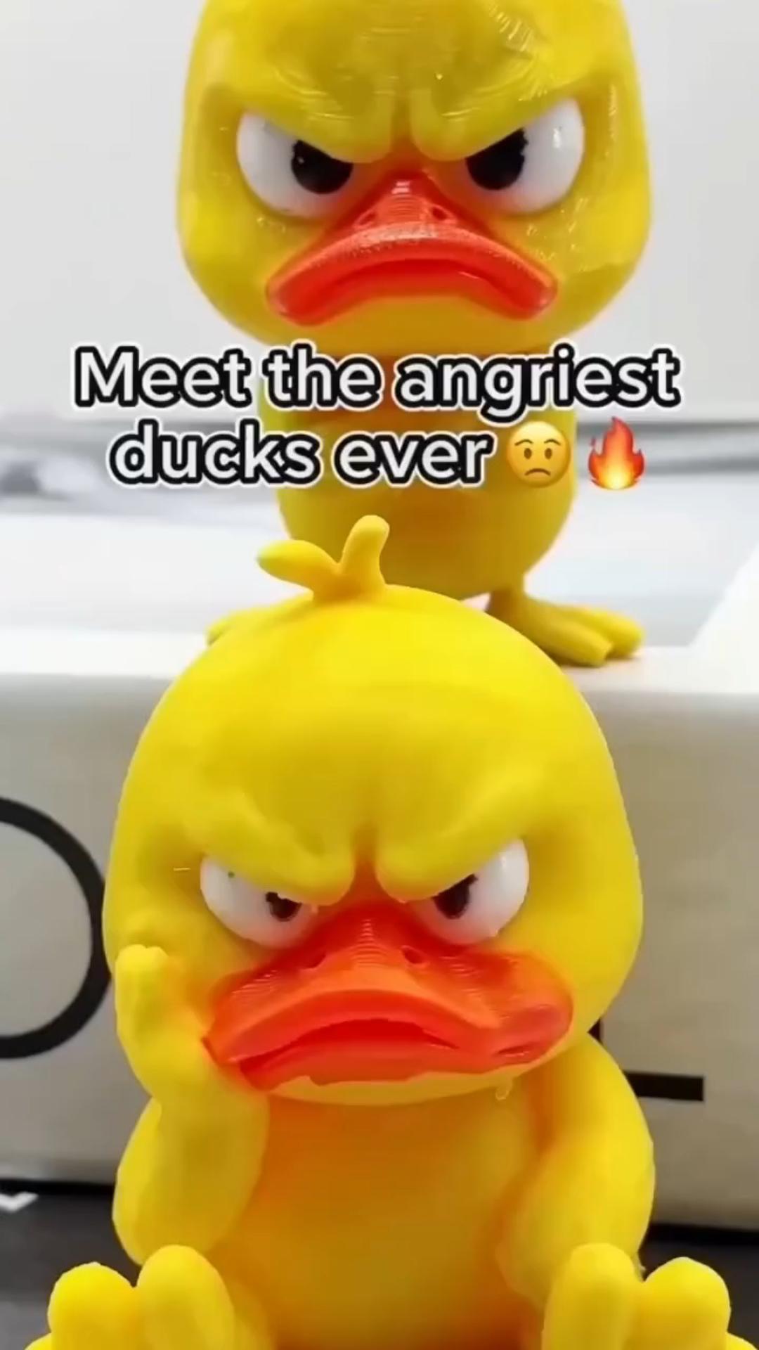 Give Your Desk A Tiny Angry Companion