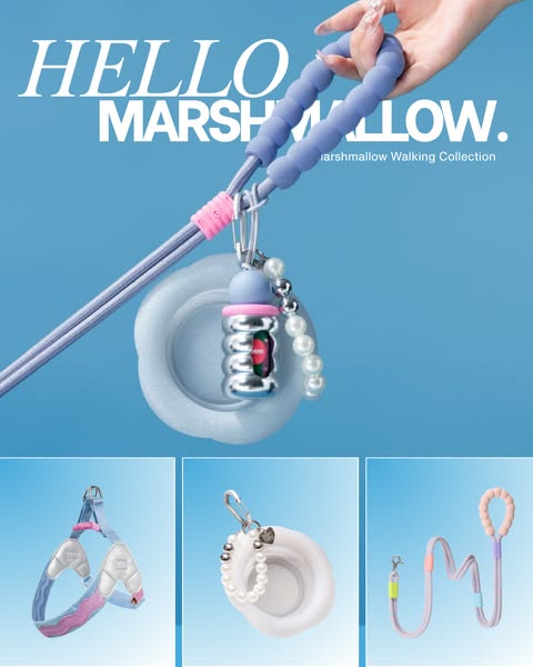 Everything You Need for Better Walks