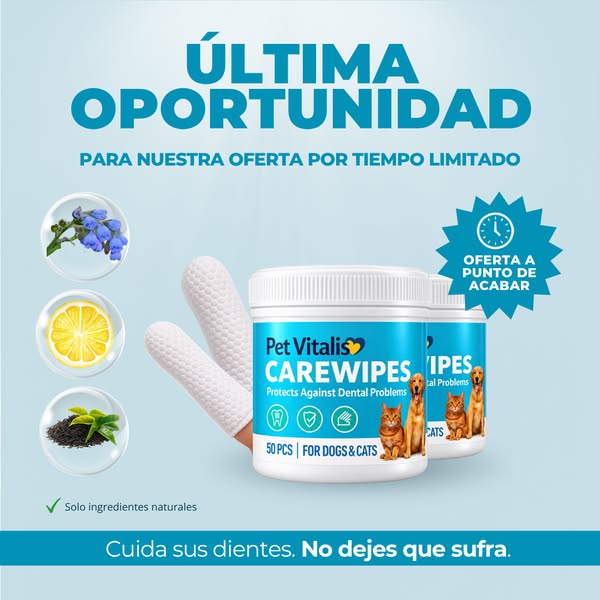 Oferta especial SOLO este mes