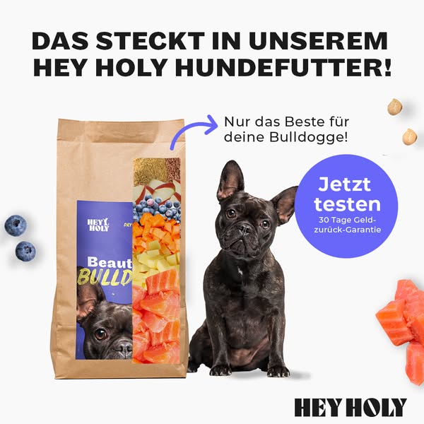 Jetzt -30% Rabatt sichern!