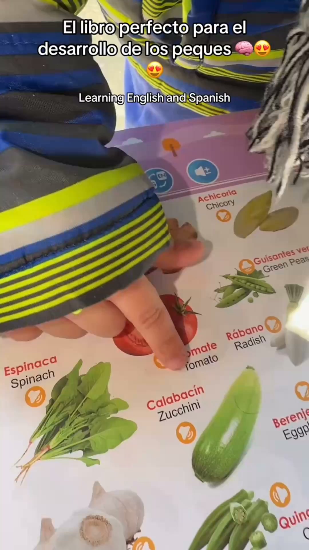 ENVÍO GRATIS 24h