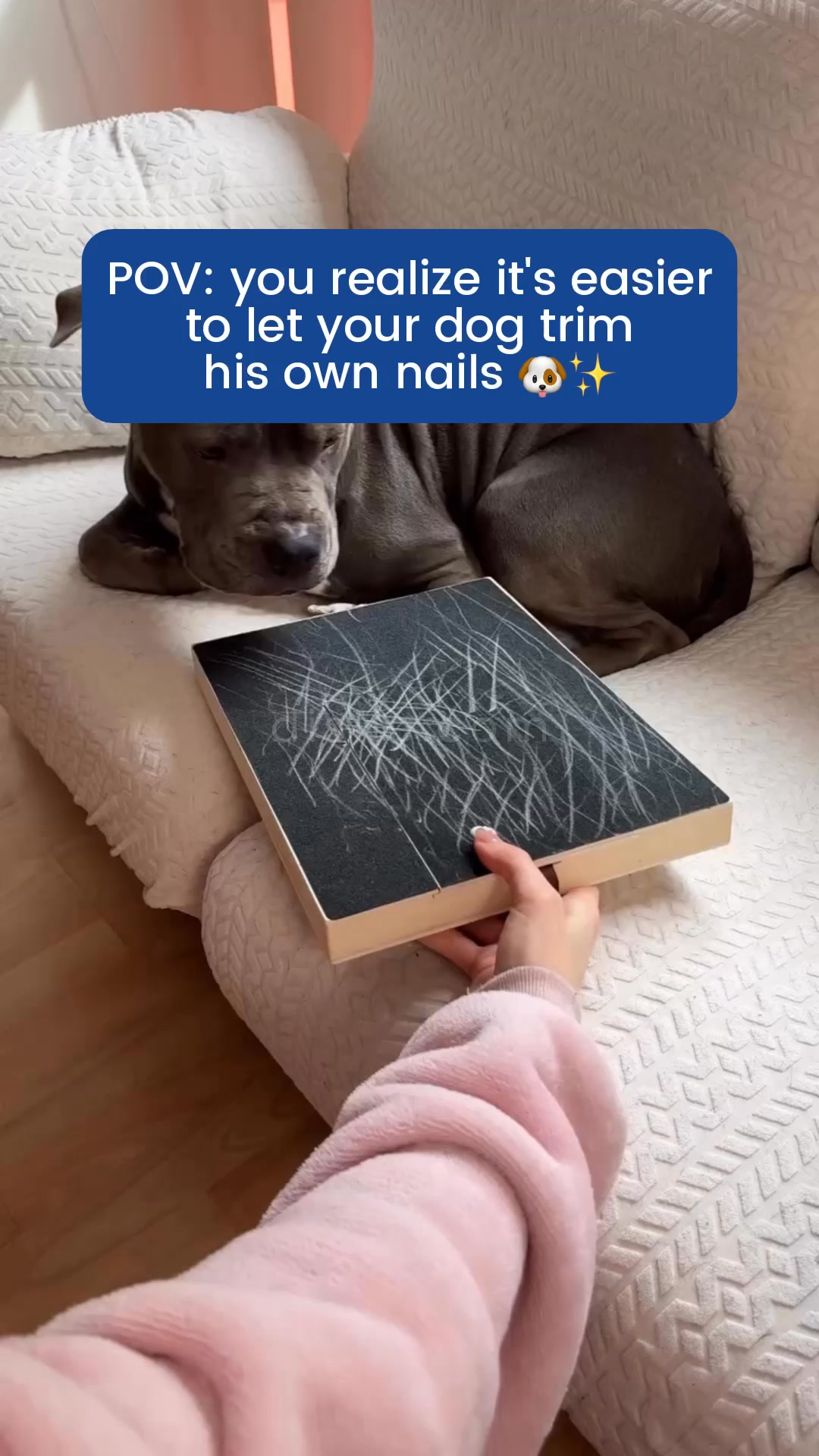 I thought i had to take her to the VET for sedated nail trimmings, UNTIL I FOUND THIS!