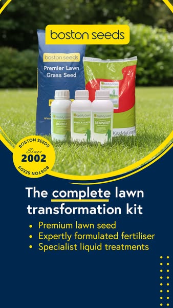 Get Professional Results with Expert Lawn Care