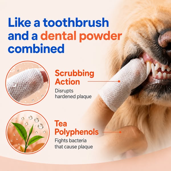 Clean your dog's teeth in 30 seconds without brushing