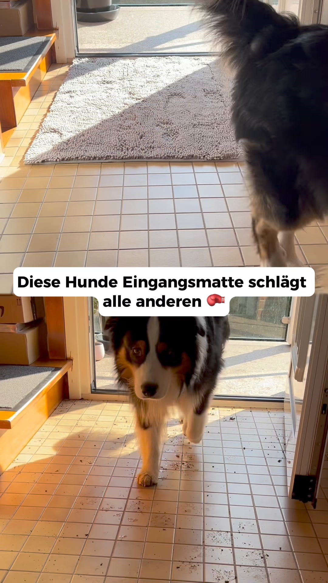 Matschpfoten daheim?