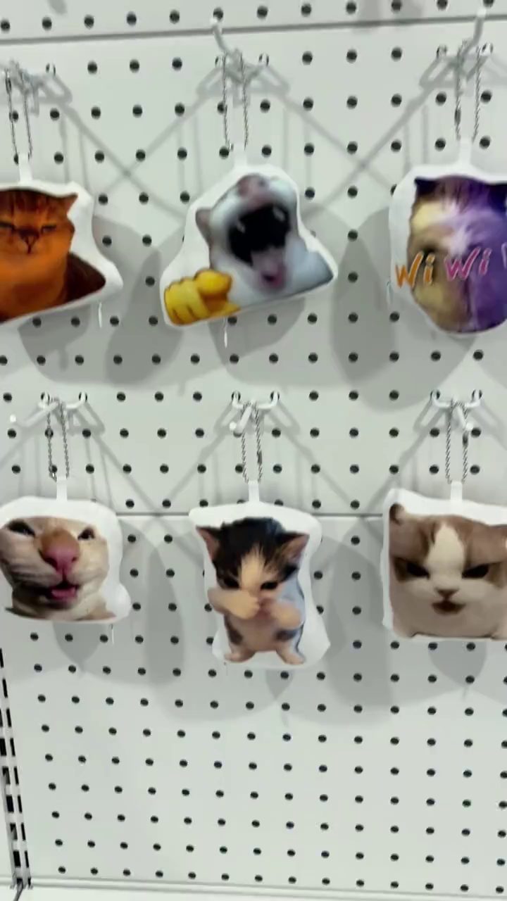 The Most Chaotic Cat Keychain Ever!