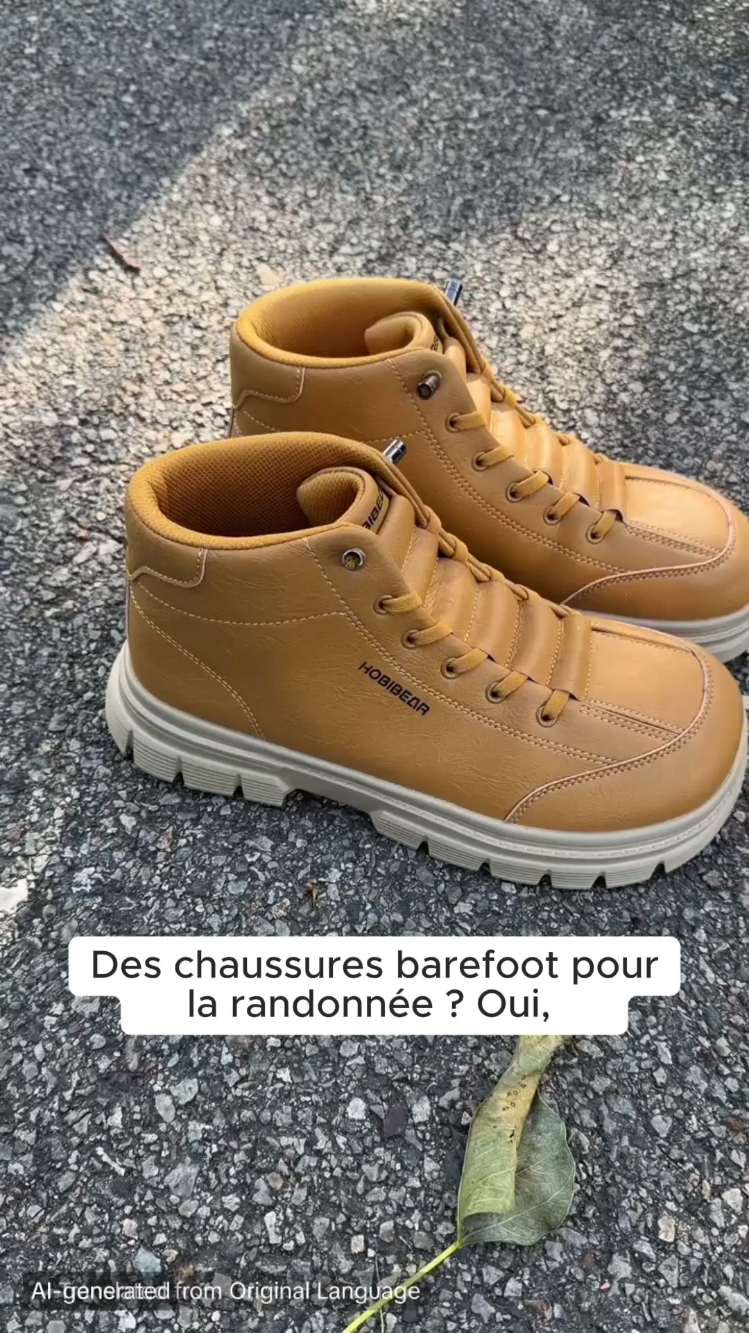 10 % de réduction, code "HOBIBEAR"