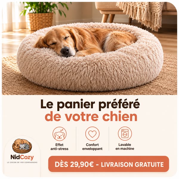 Découvrez le coussin Nidcozy