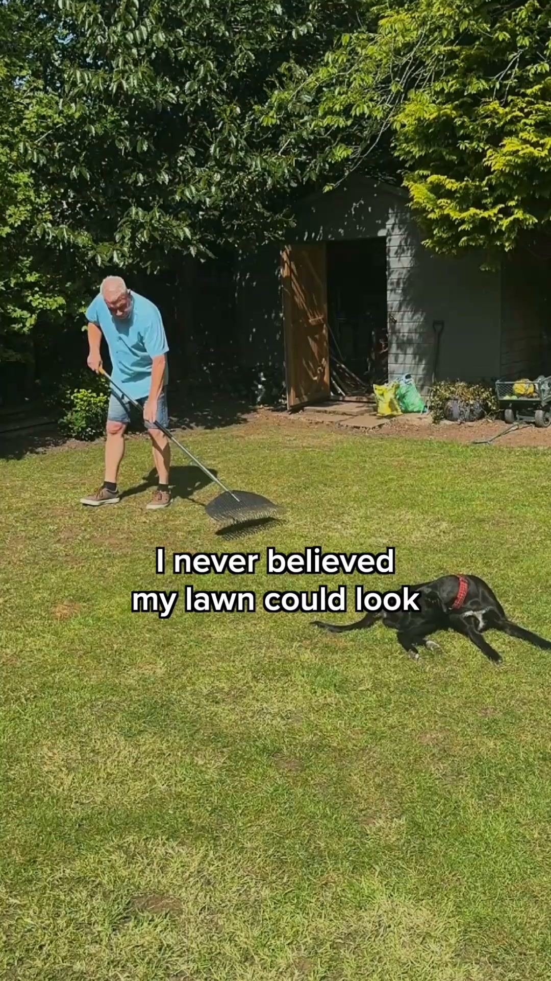 Fix Your Lawn Or Your Money Back