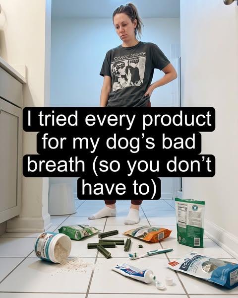 Clean your dog's teeth