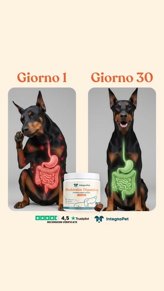 Elimina il Prurito del tuo Cane alla Fonte