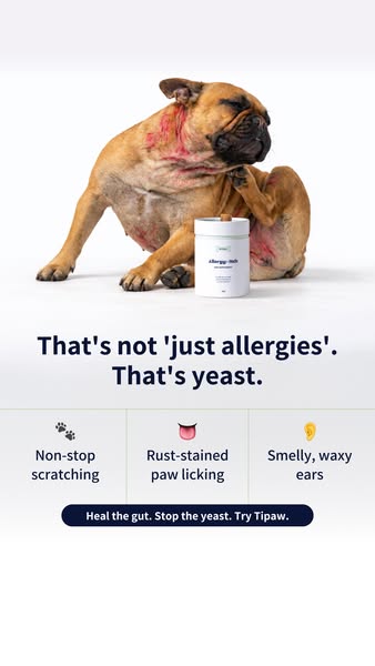 Shop Tipaw Today