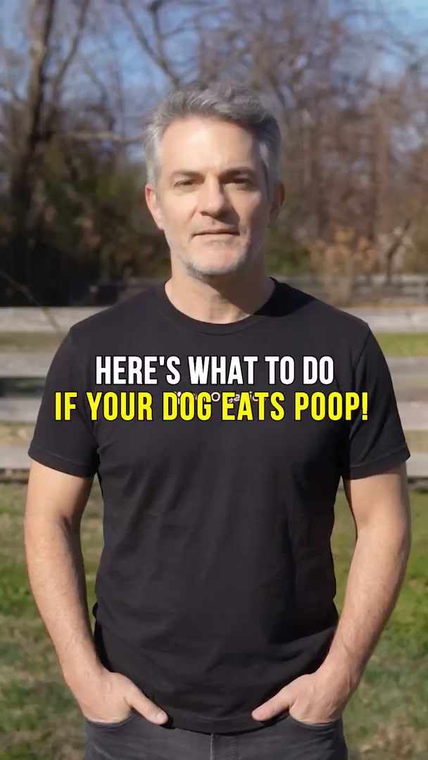 Stop the poop eating for good