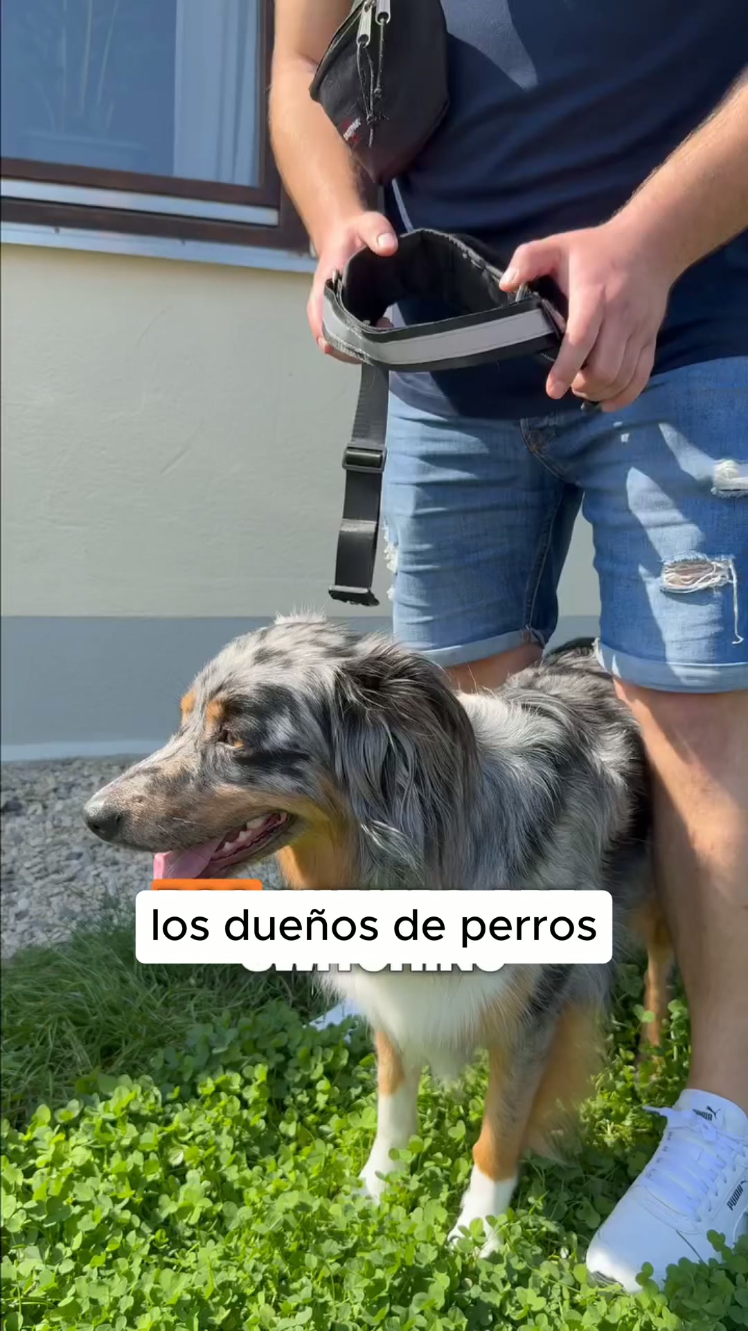 El arnés sin volver a empezar