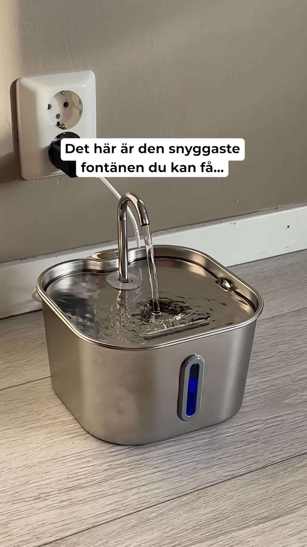 Visa omsorg och ge din katt fräschare vatten