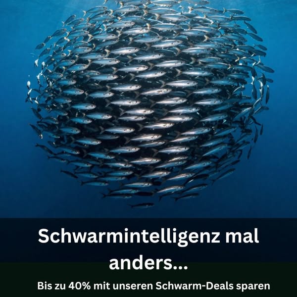 Highlights & Sonderangebote