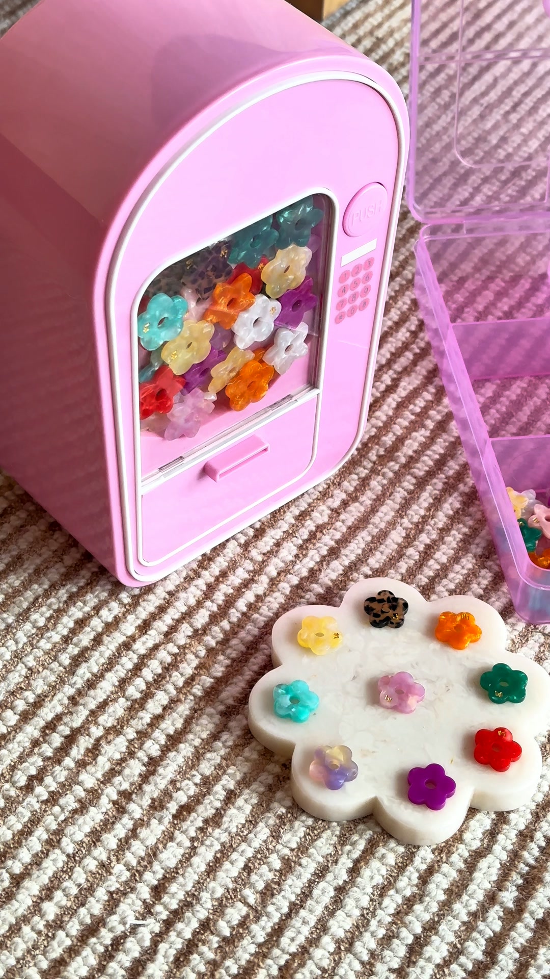 Nos Fleur et Tiaré passent en mini
