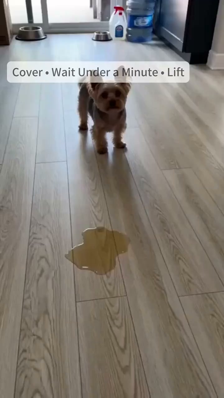 2026 Sale — Over 48,000 Sold! Super Absorbent Dog Pee Pads