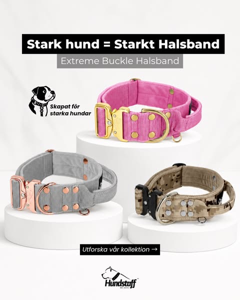 Valt av över 100 000 hundägare