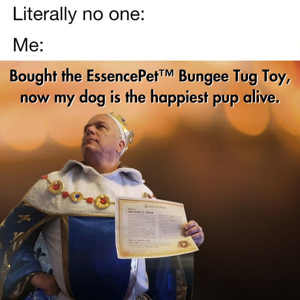 50% OFF Best-Selling Bungee Tug Toy