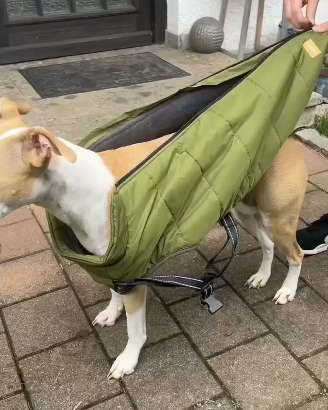 Inget väder stoppar er promenad