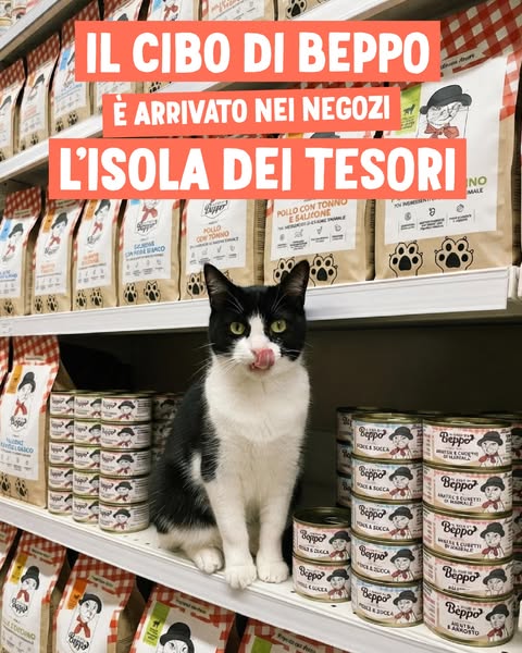 {{product.name}}