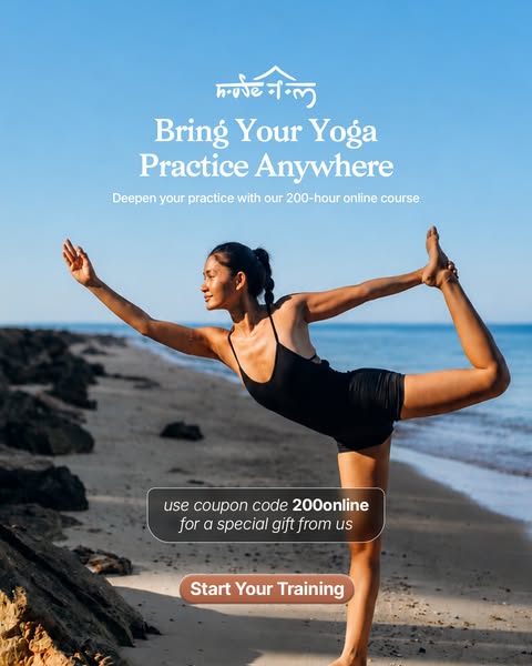 Start Your Yoga Journey Today