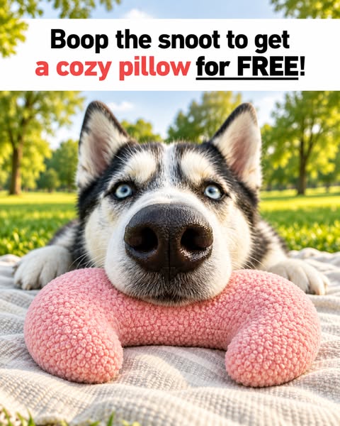 Free Today