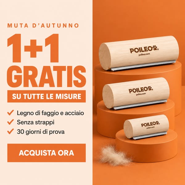 1+1 GRATIS su tutte le misure