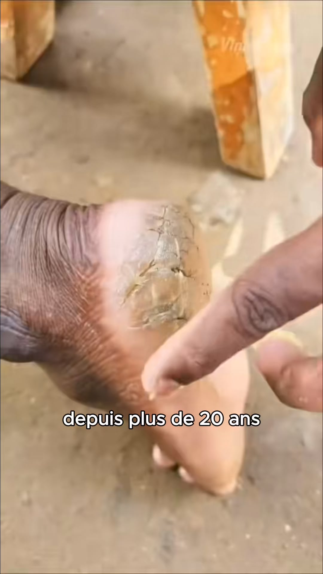 1 + 1 offert aujourd'hui