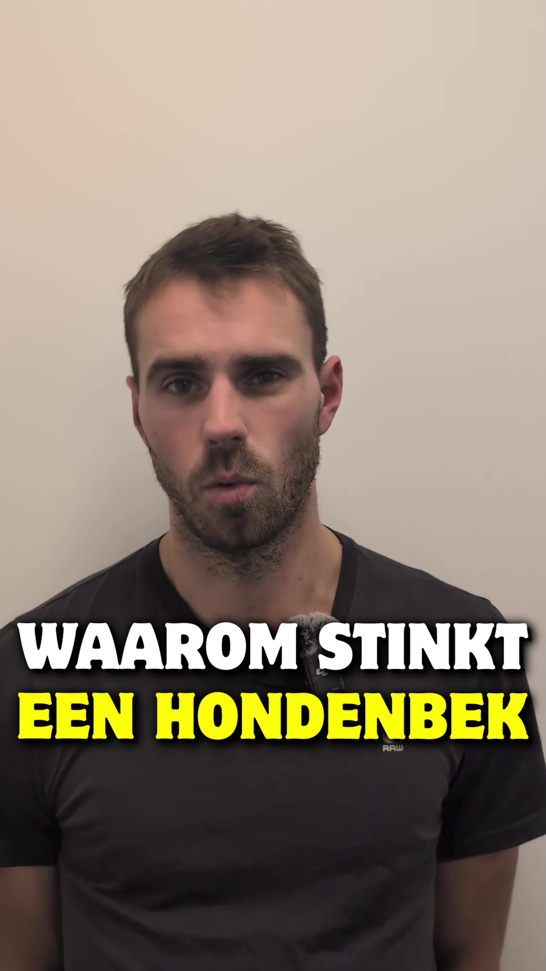 Dit wist je niet over de tanden van je hond