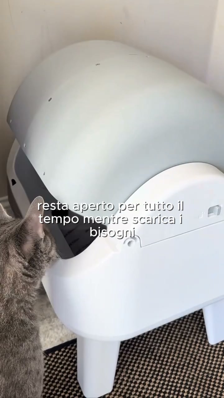 Addio paletta, ogni giorno