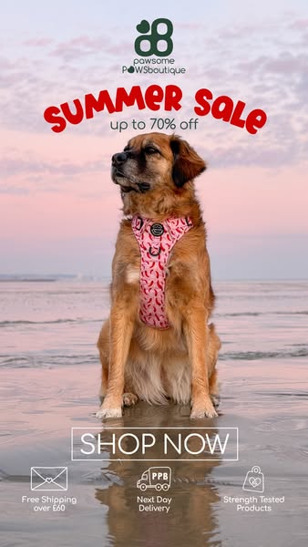 Our summer sale is live.