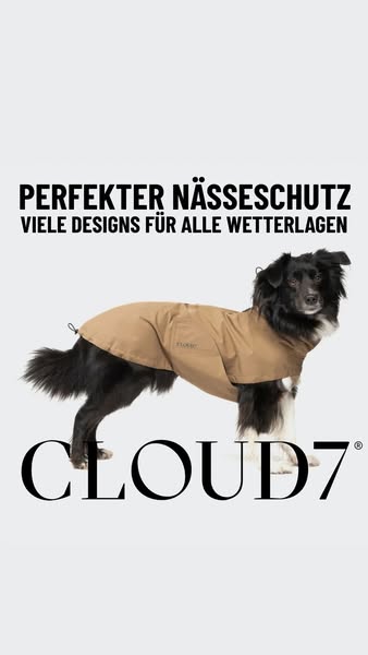 Wetterfest für jeden Hund