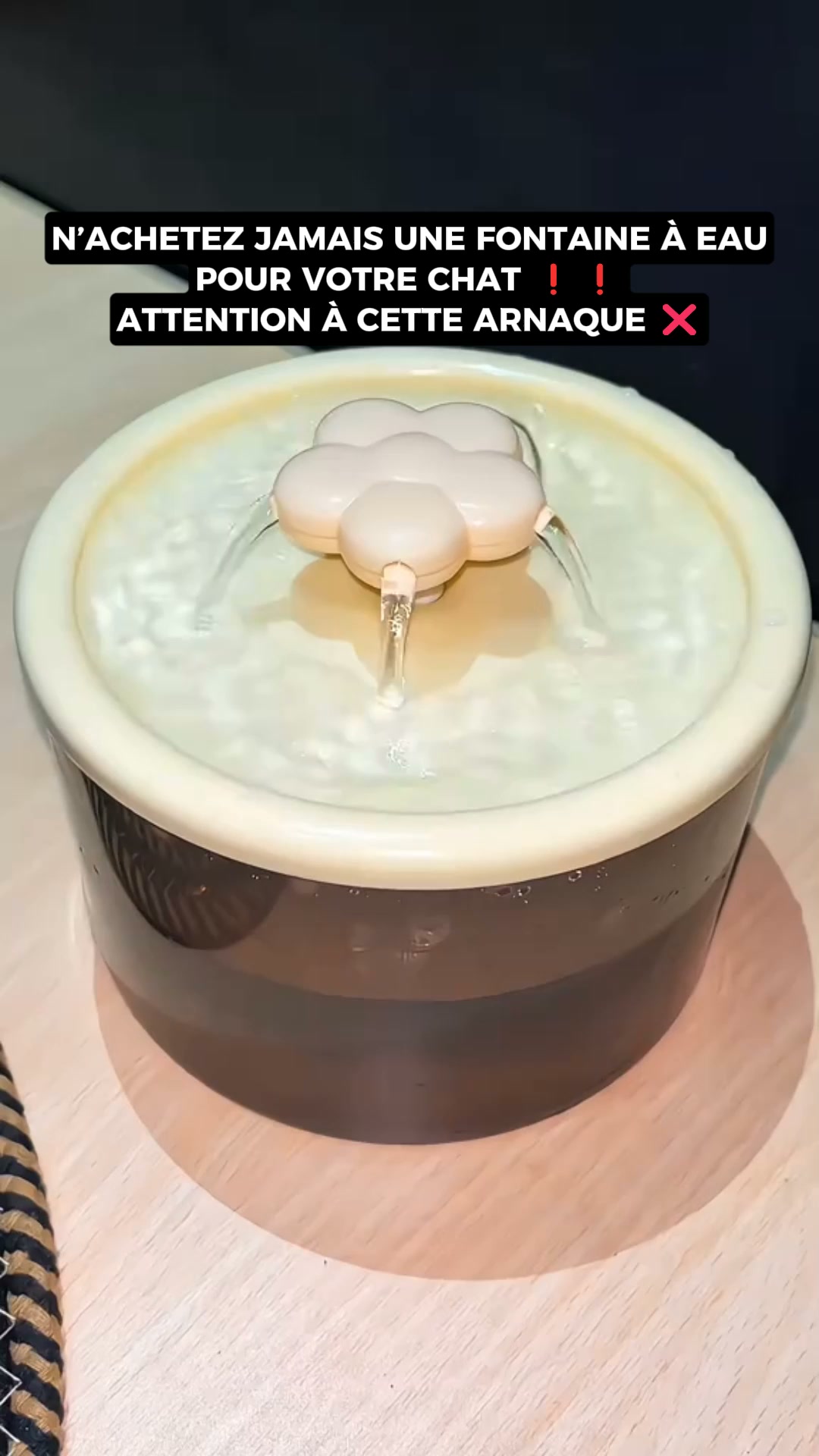 Recommandé par 10 000 maîtres