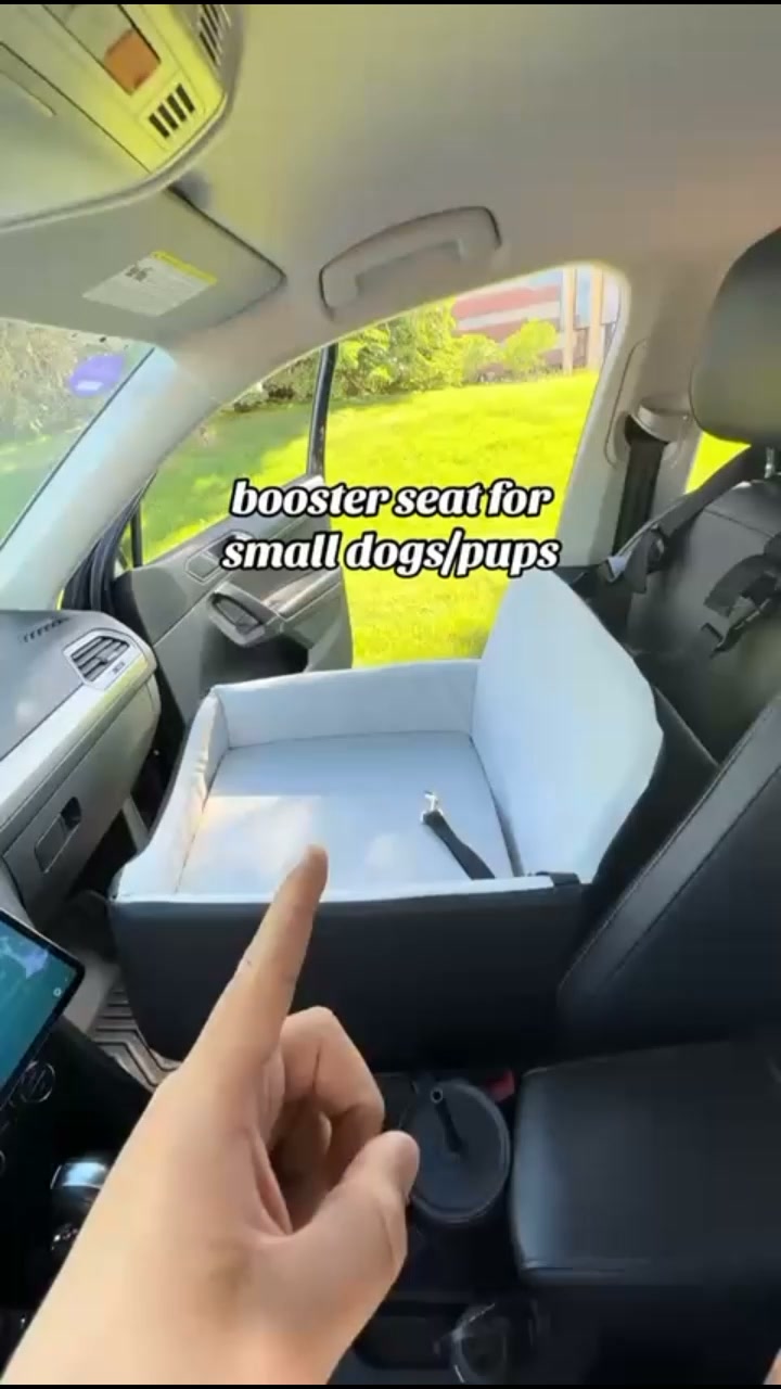 Every Dog Owner Needs One Of These