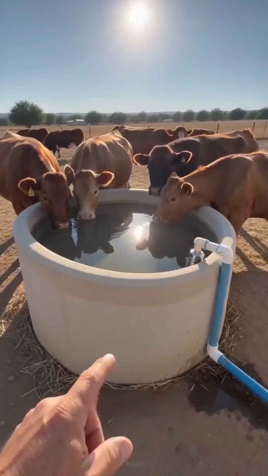 Control Automático de Agua