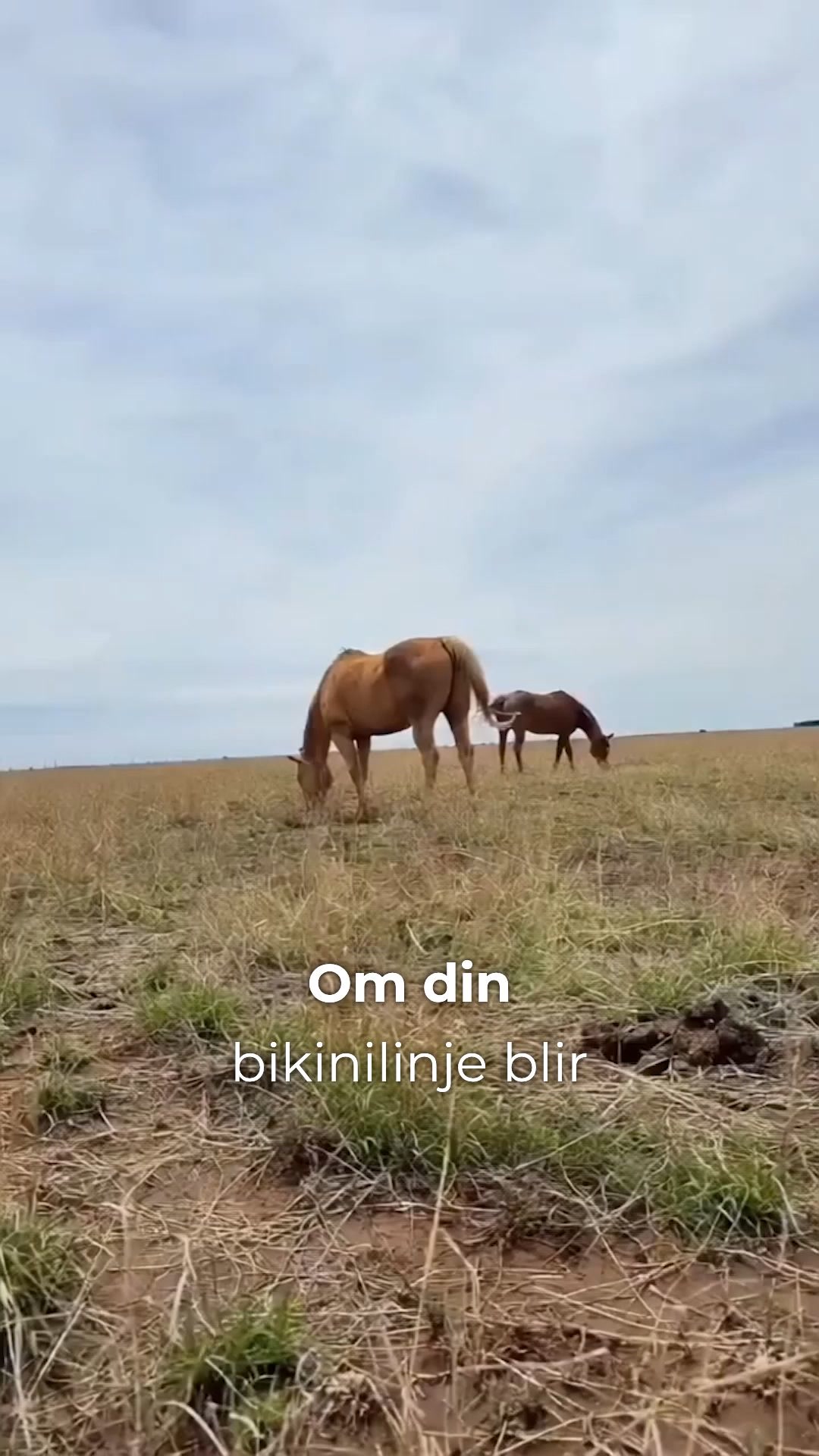 Rakningen räcker en vecka längre
