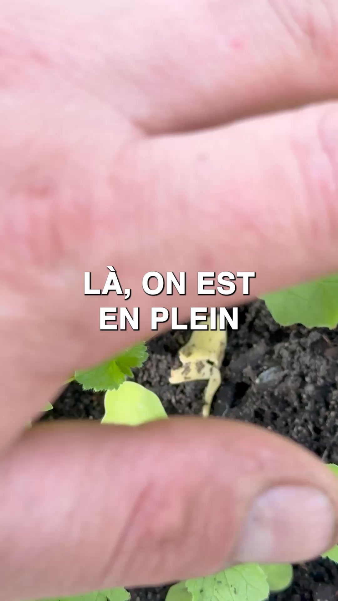 6 accessoires OFFERTS