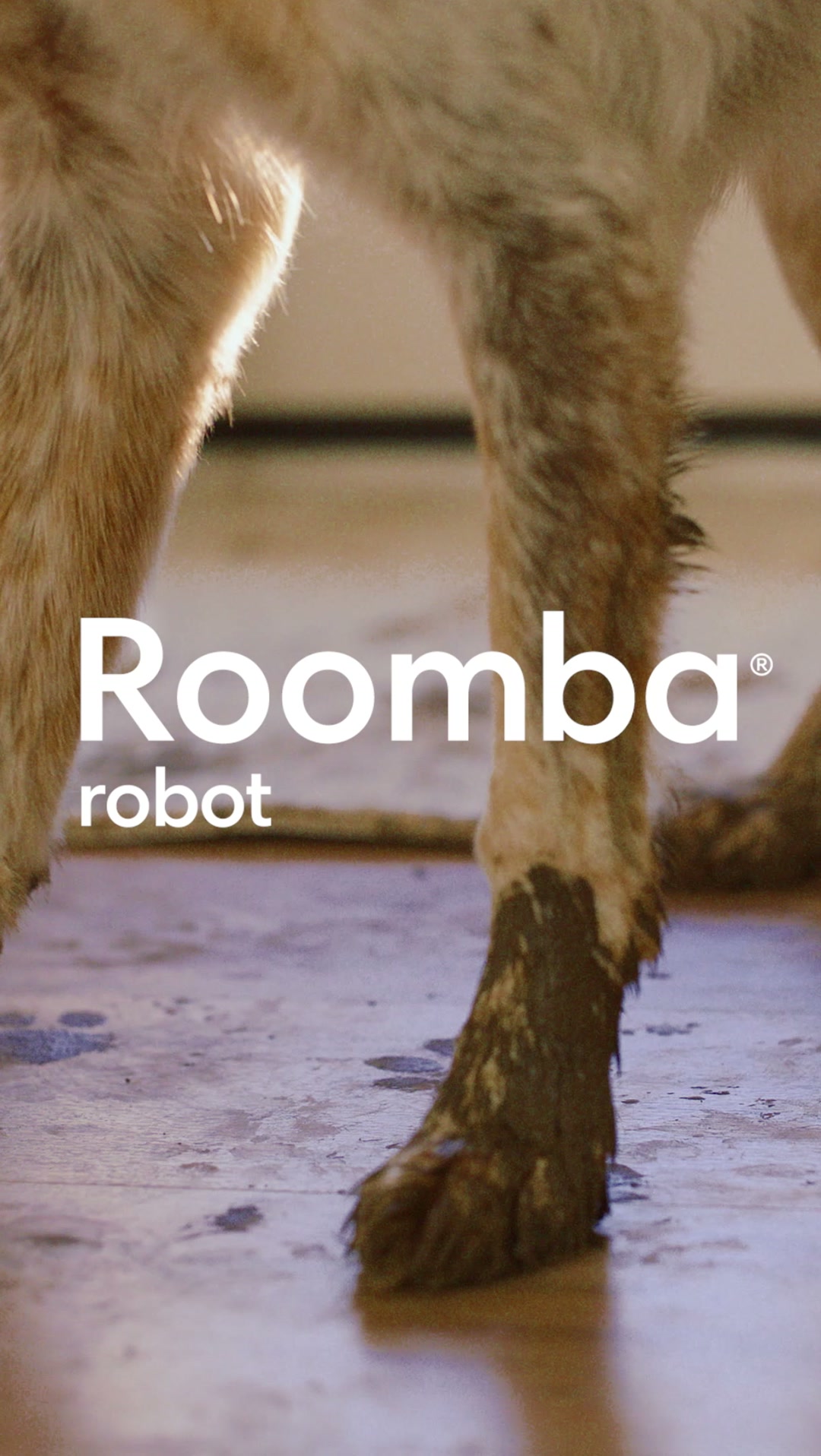 Roomba® Max 875 Combo Robot + AutoWash™ Dock