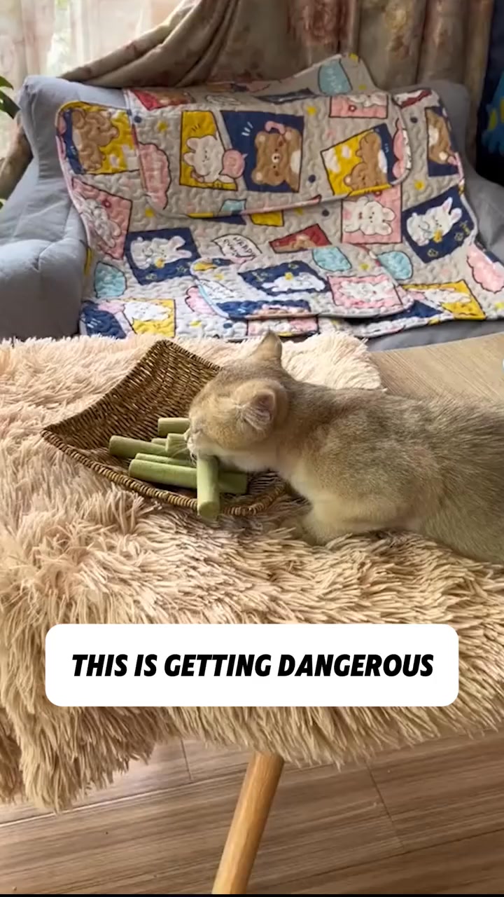 One Treat. Endless Cat Health Benefits.