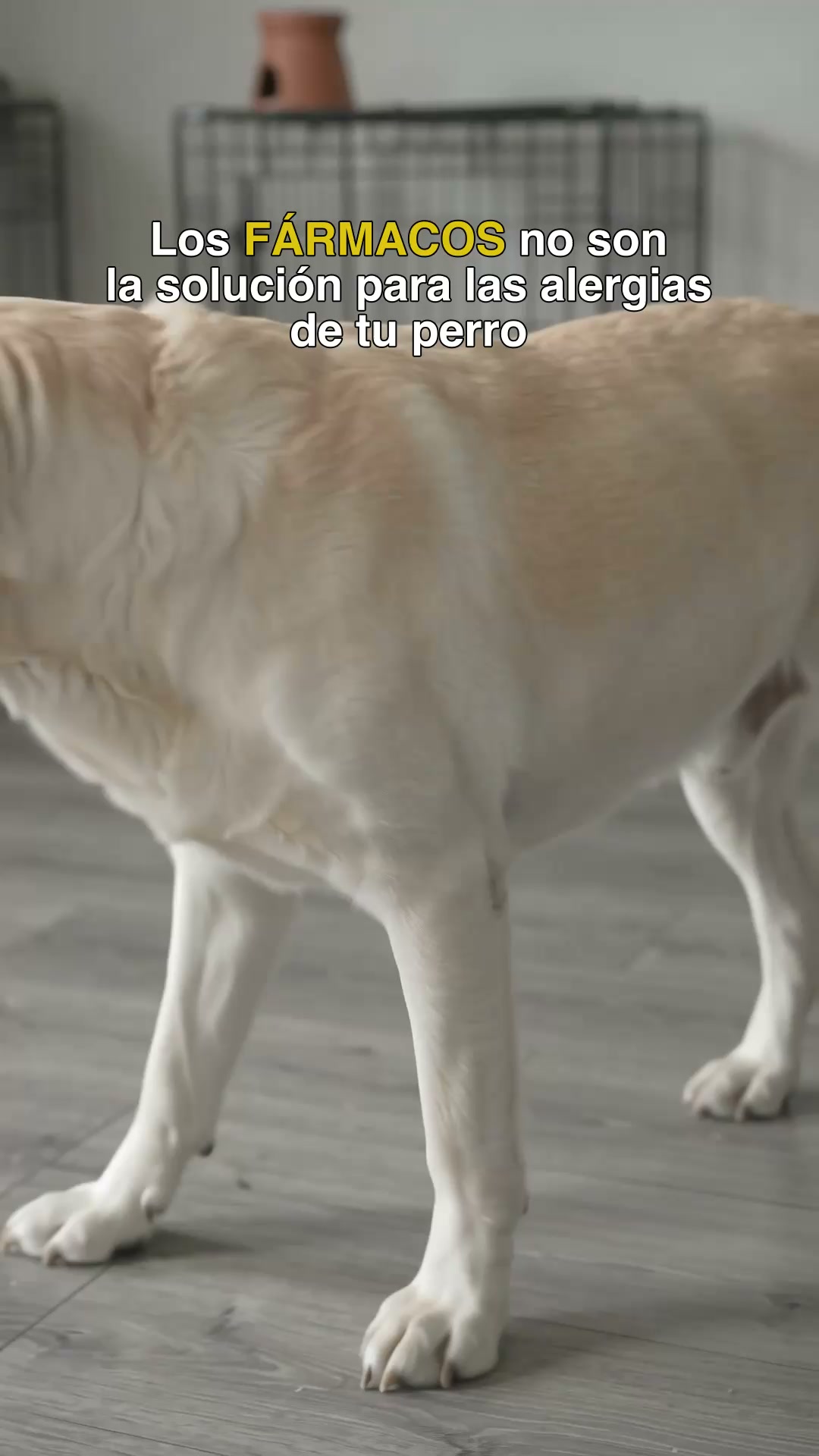 Anúncio de Cofty ES