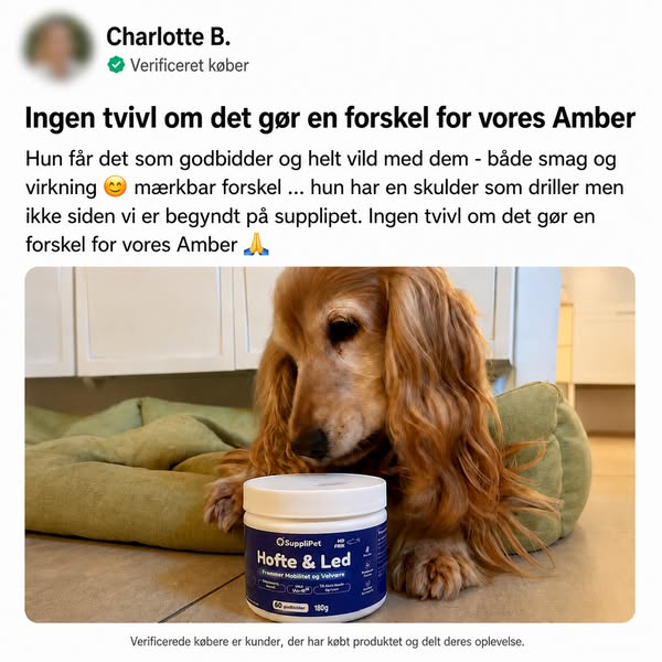 Nedsat Mobilitet? Prøv Disse Godbidder