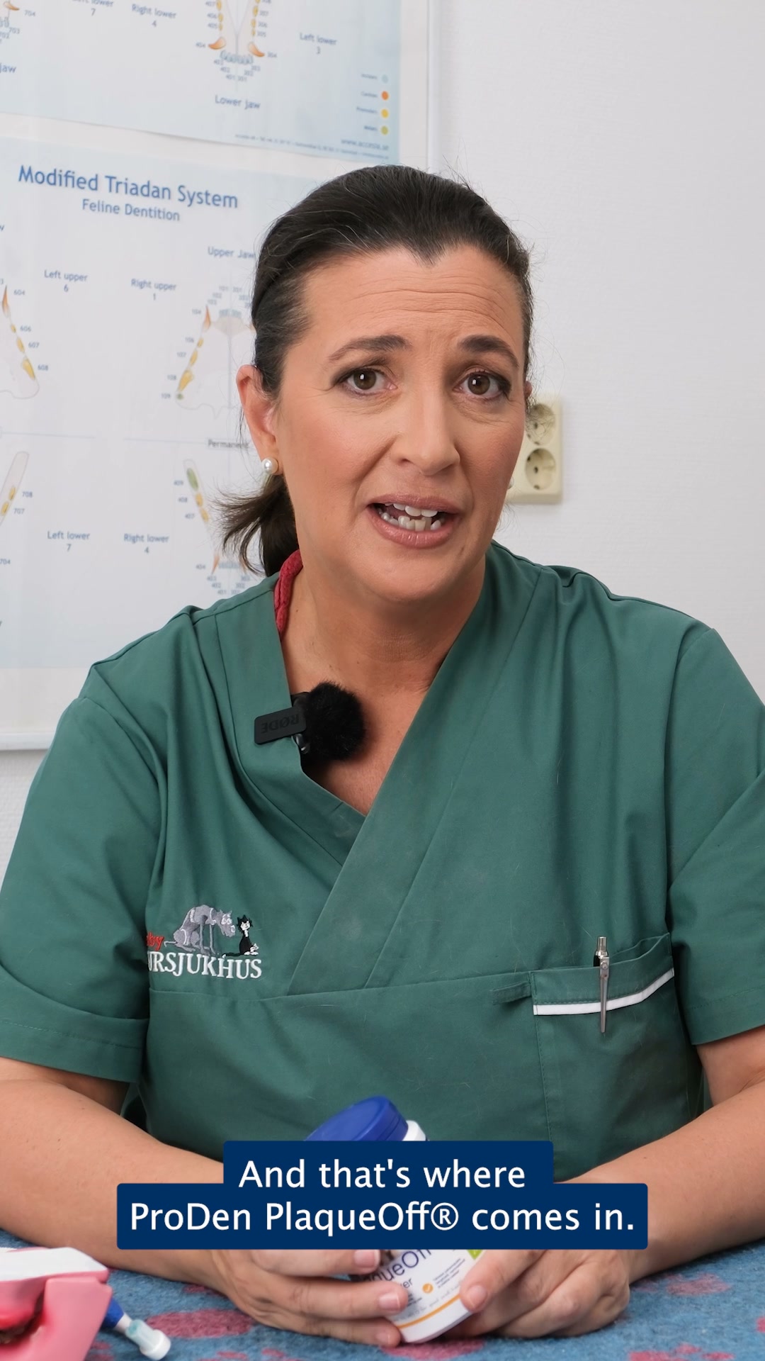 Get a free Dental Guide for your dog!