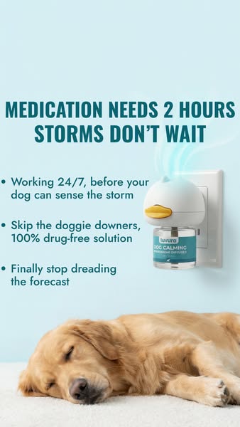 No Drugs. No Timing A Dose. Just Calm.