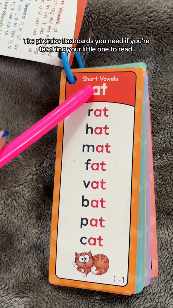 Phonics Word Cards 117 Sound Groups 900+ Rhyming Words Preschool English Discovery Joy